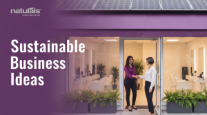 Sustainable Business Ideas That Hold Up Commercially